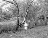 [Child by dead tree]