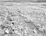 Chevaux De Friez and Fields, Dun Aengus Innishmore, Aran Islands, Ireland