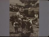 Country Auction