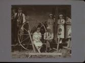 Country Auction