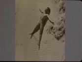 Bill Lipkind (Martha's Vineyard)