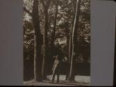 [Girl standing among trees]