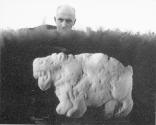 Ralph Hattersley Stalking an Animal Cracker