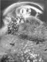 The Photographer's Eye