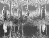 Small Woods Where I Met Myself (Final Version)