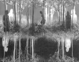 Small Woods Where I Met Myself (5th Version)