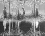 Small Woods Where I Met Myself (6th and Final Version)