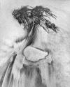 [Seaweed in Sand]