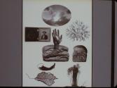 [Assemblage of Various Images]