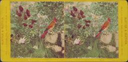 [Bird with flowers]