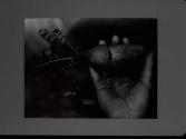 [Untitled]