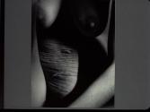 [Untitled]