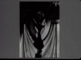 [Shadow]