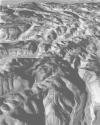 Line over the Pampa, Nazca, Peru