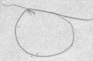 S.W. 3