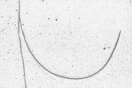 S.W. 8