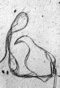 S.W. 5