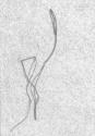 S.W. 21