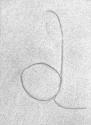 S.W. 2