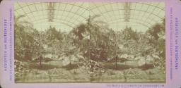 Das Palmenhaus in Frankfurt a/M.