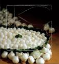 Small Creamed Onions (Seabrook Farms)