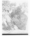 [Nude (Brigman ?) in landscape]