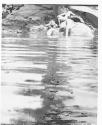 [The Magic Pool]