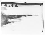 [Snowy landscape]