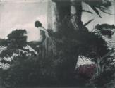 [The Pine Sprite]