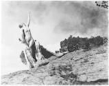 [The Soul Of The Blasted Pine]