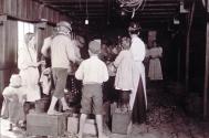 Gulf coast, Shrimp pickers