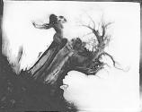 [Storm Tree]