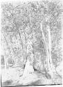 [The Judgement of Paris]
