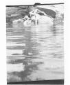 [The Magic Pool]