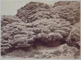 Tufa Deposits - near Pyramid Lake (Old Lake Shores)