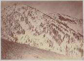 Snow Peaks, Bull Run Mining District, Nevada.