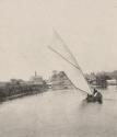 Cutter - Horning
