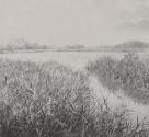 South Walsham Broad