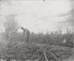 [Fencing in Suffolk]