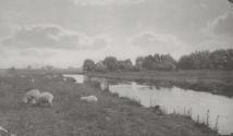 On the River Bure