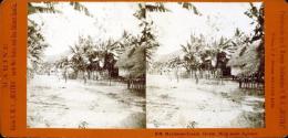 Marianen-Inseln.  Guam.  Weg nach Aganna.