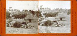Tonga-Inseln. Nukualofa Tonganisches Dorf.