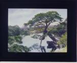 [Untitled]