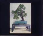 [Untitled]