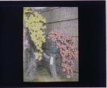 [Untitled]