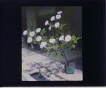[Untitled]