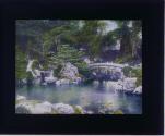 [Untitled]