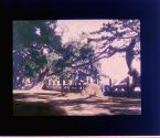 [Untitled]