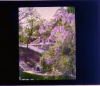 [Untitled]