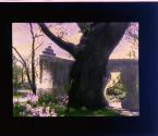 [Untitled]